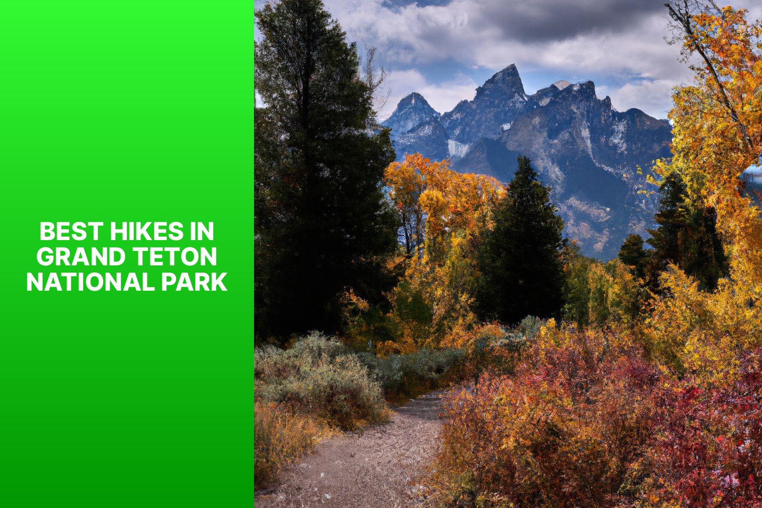 best hikes in grand teton national parkw104