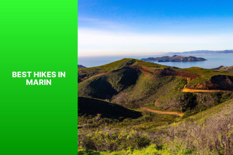 Best Hikes in Marin