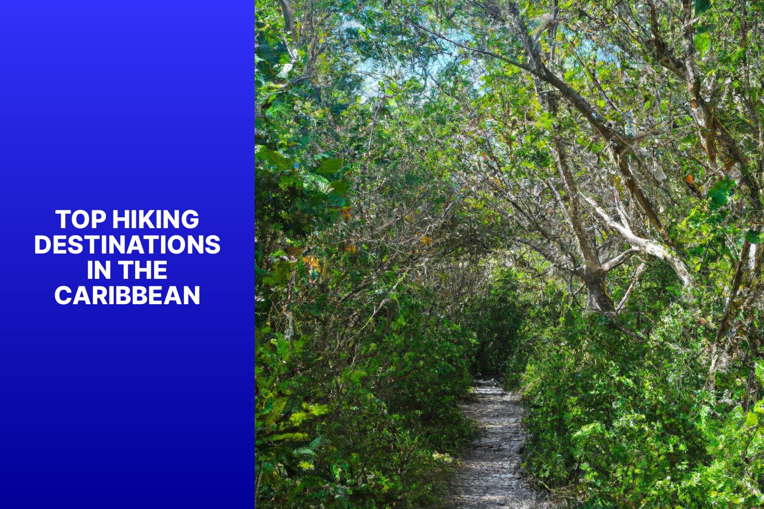 Top Hiking Destinations in the Caribbean - Best Hiking in the Caribbean 