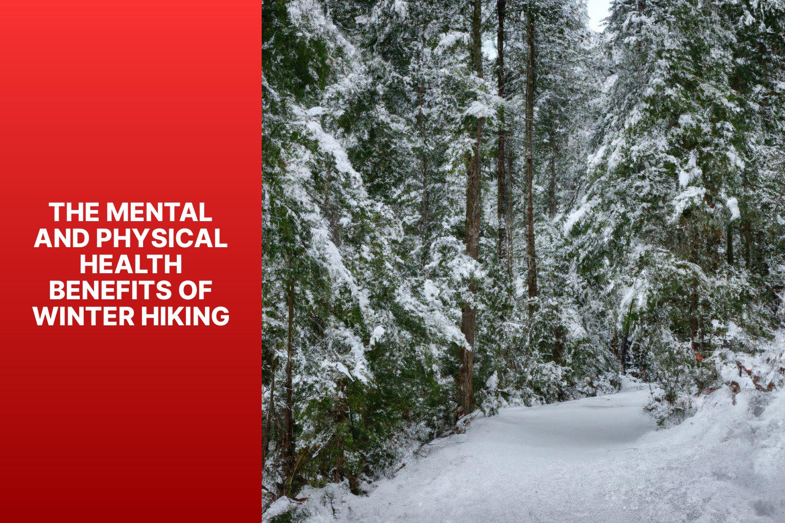 The Mental and Physical Health Benefits of Winter Hiking - Best Winter Hikes Near Seattle 