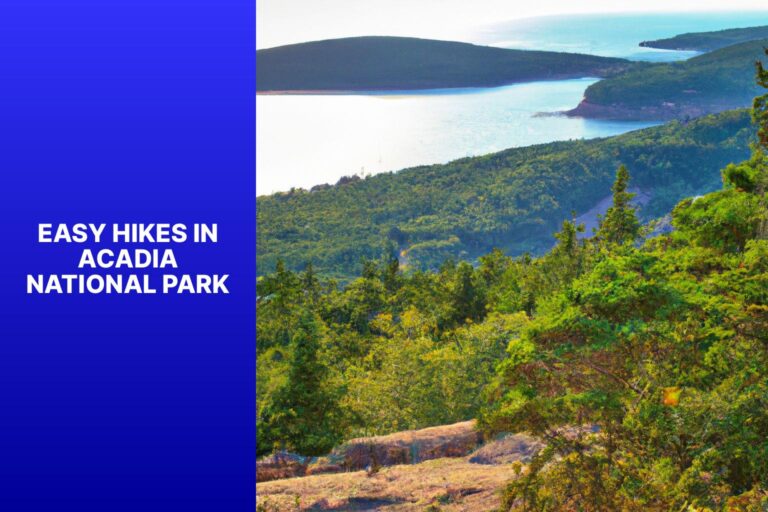 Easy Hikes in Acadia National Park