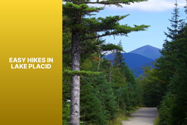 Easy Hikes in Lake Placid