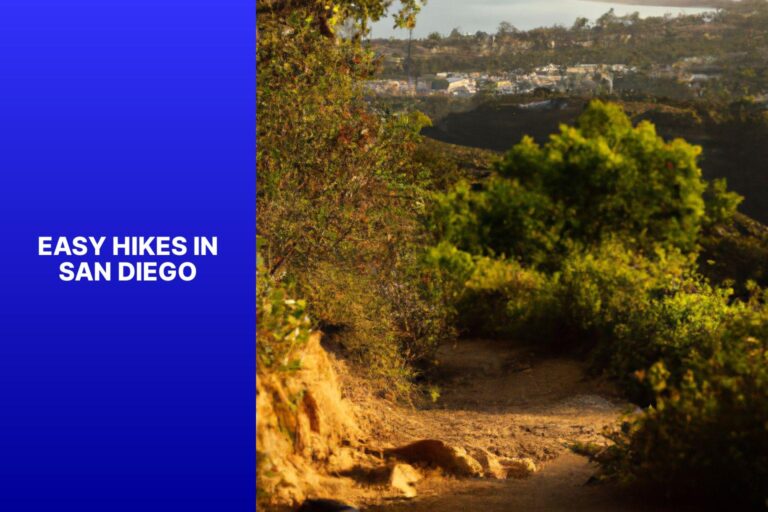 Easy Hikes in San Diego