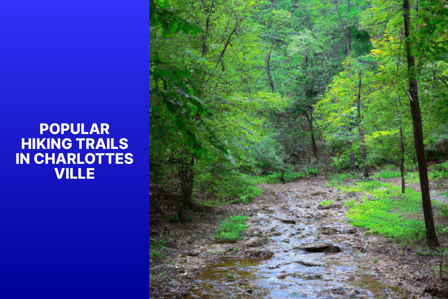 Popular Hiking Trails in Charlottesville - Hikes in Charlottesville 