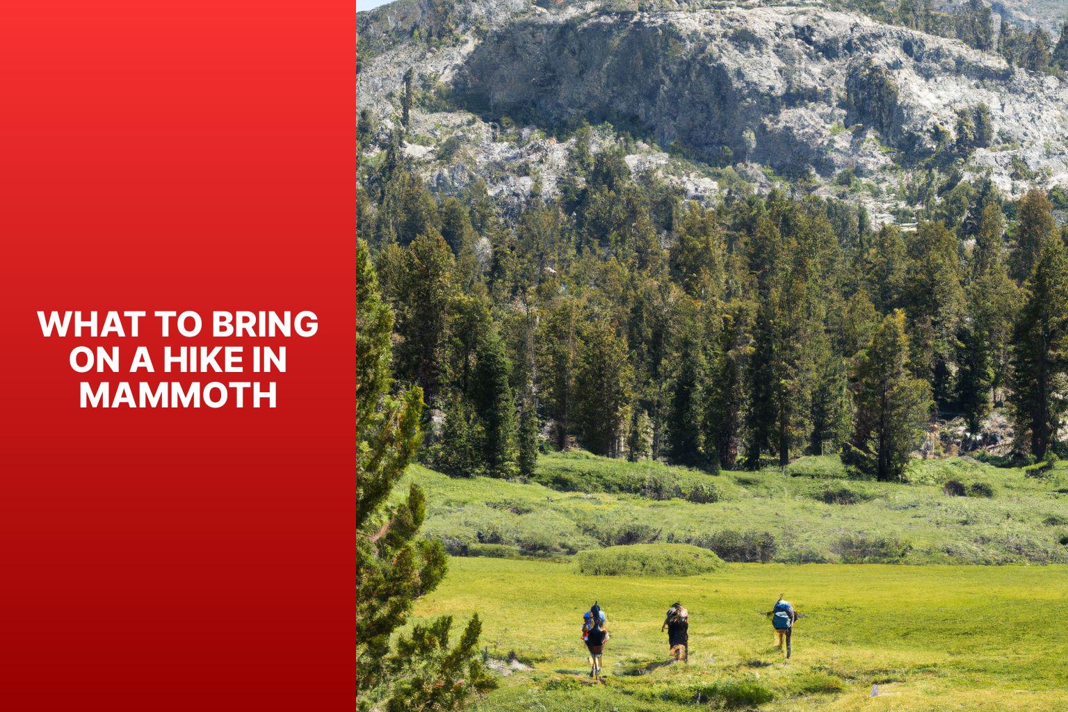 What to Bring on a Hike in Mammoth - Hikes in Mammoth 