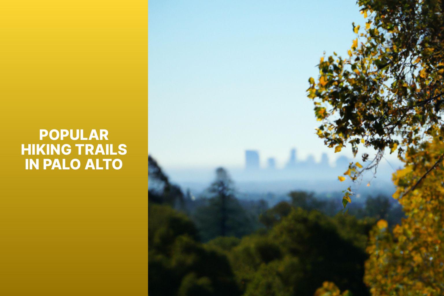 Popular Hiking Trails in Palo Alto - Hikes in Palo Alto 