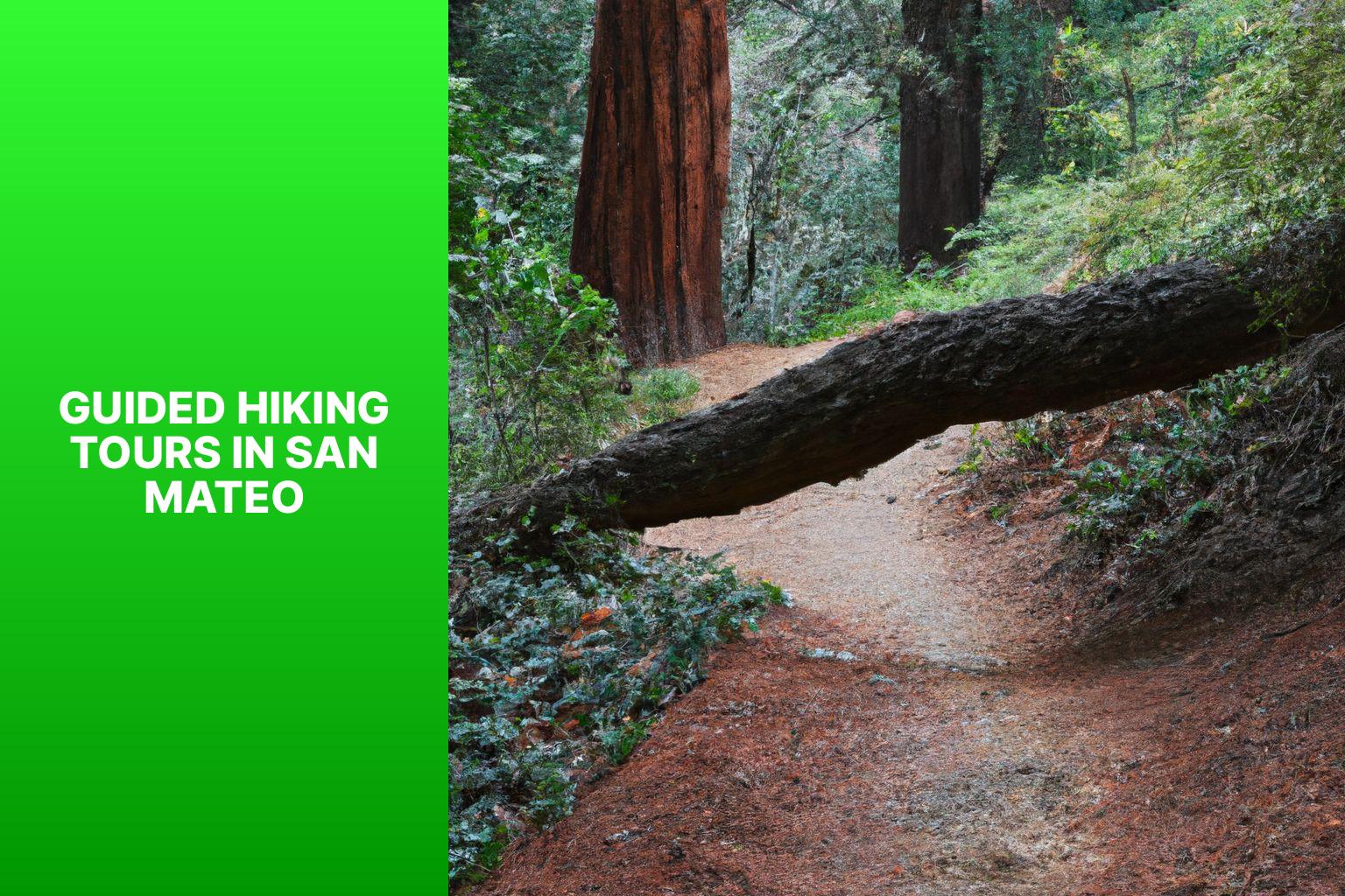 Guided Hiking Tours in San Mateo - Hikes in San Mateo 