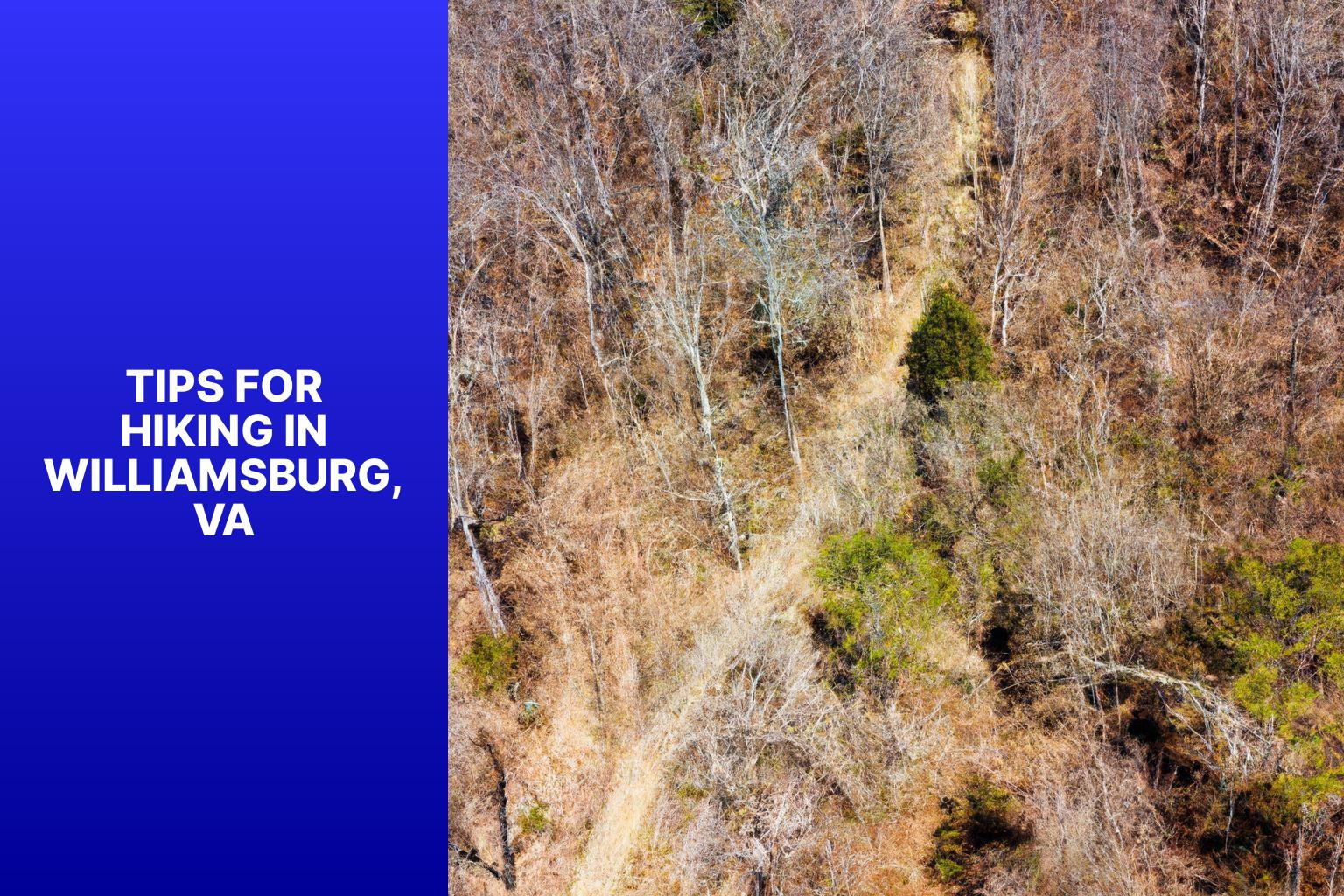 Tips for Hiking in Williamsburg, VA - Hiking Trails in Williamsburg Va 