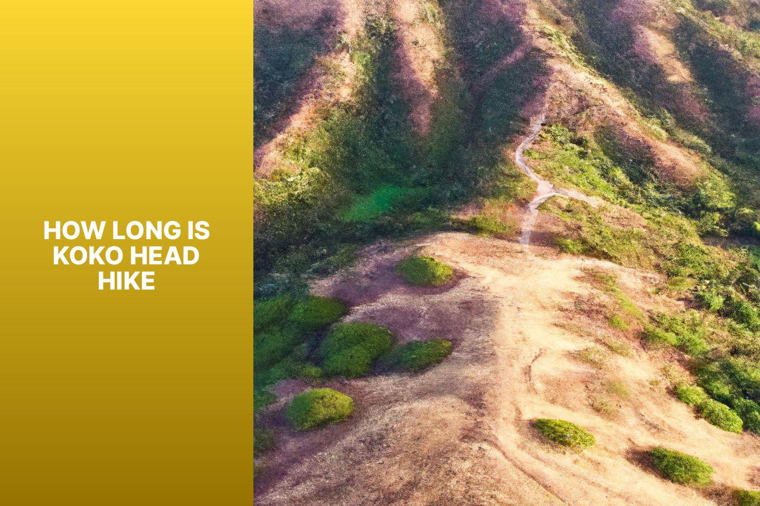 How Long Is Koko Head Hike Jasonexplorer