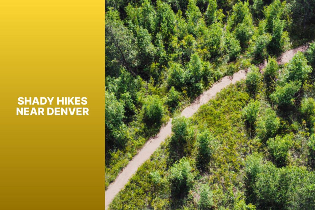 Shady Hikes Near Denver - jasonexplorer.com