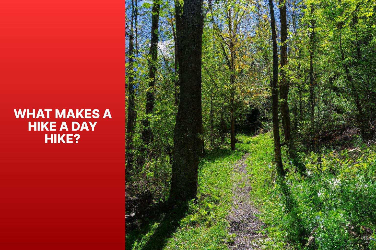 What Makes A Hike a Day Hike? - What is a Day Hike 