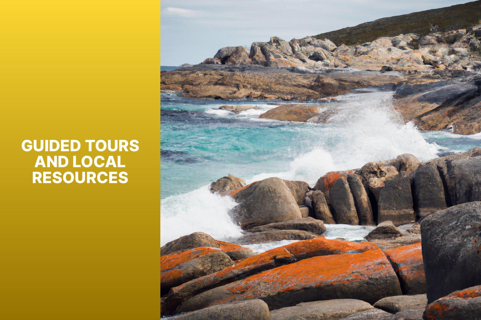 Guided Tours and Local Resources - Where Can You Hike the Bay of Fires 