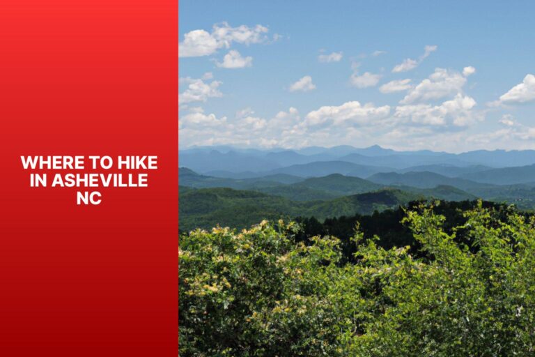 Where to Hike in Asheville Nc