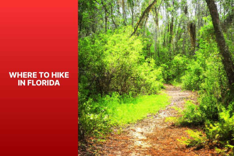 Where to Hike in Florida