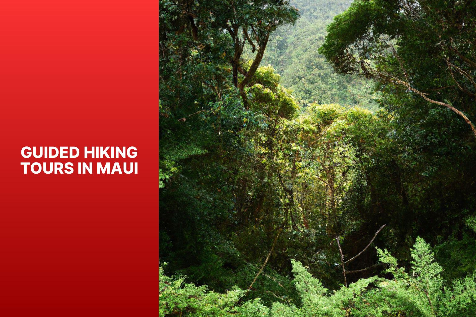 Guided Hiking Tours in Maui - Where to Hike in Maui 