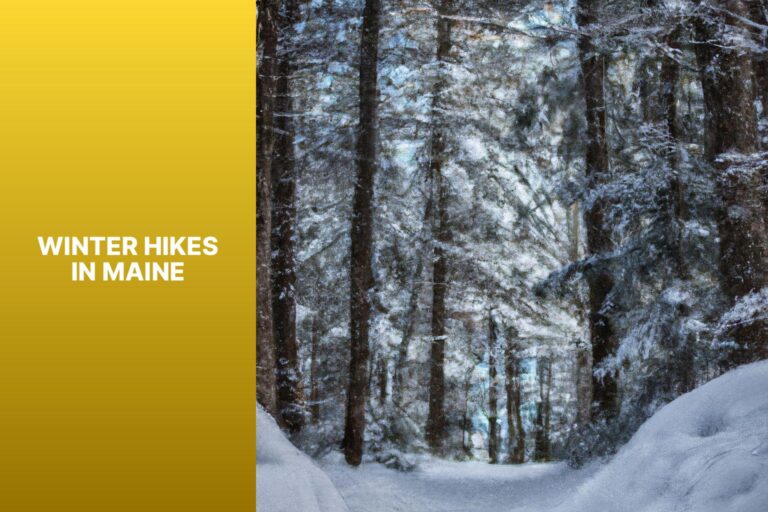 Winter Hikes in Maine
