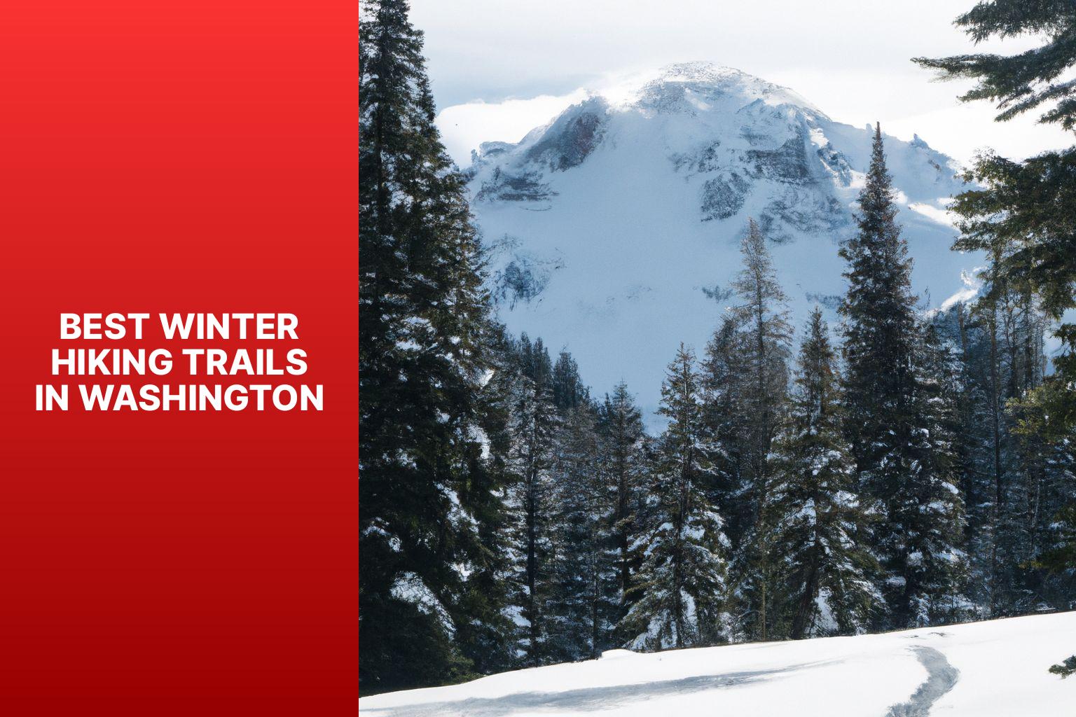 Best Winter Hiking Trails in Washington - Winter Hikes in Washington 